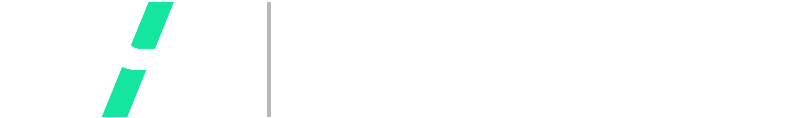 Webentwicklung Schäfer – zur Startseite